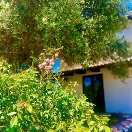 Camera Villa Sarda Aurora Elmas 외부 사진