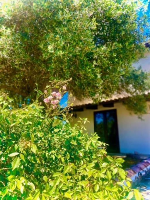 Camera Villa Sarda Aurora Elmas 외부 사진